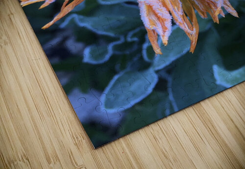 Frosted Calendula Derek Udy puzzle