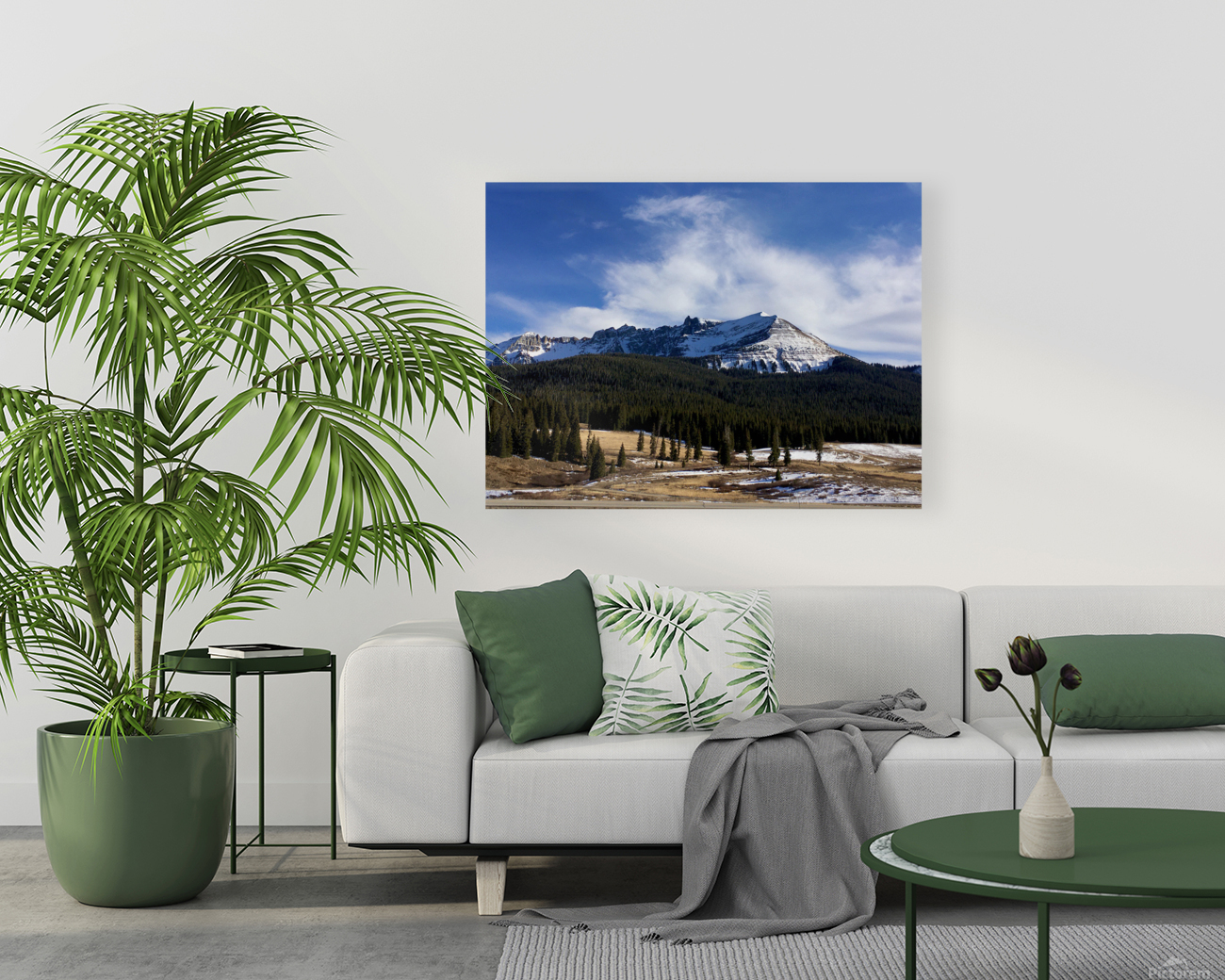Lizard head pass Reproduction