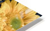 Sunflower Boutique HD Metal print
