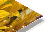 Sunflower Surreal HD Metal print