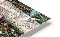 Mercy 1 HD Metal print