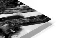IMG 3652 HD Metal print