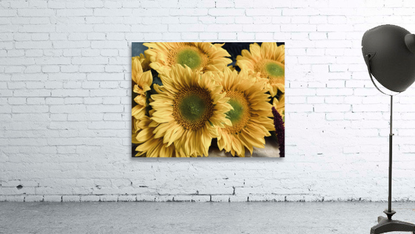 Sunflower Boutique Wall Preview