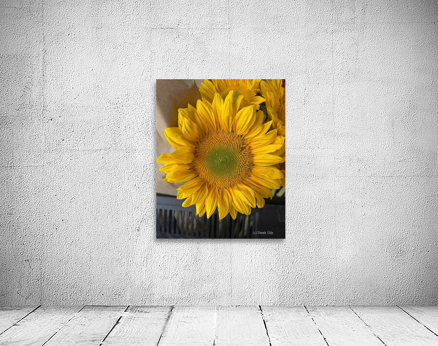 Sunflower Surreal Wall Preview