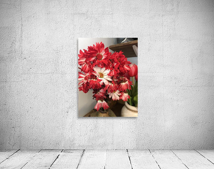 Red Daisy Wall Preview