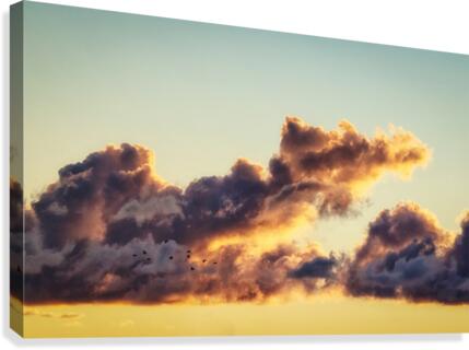Geese at daybreak Canvas Print