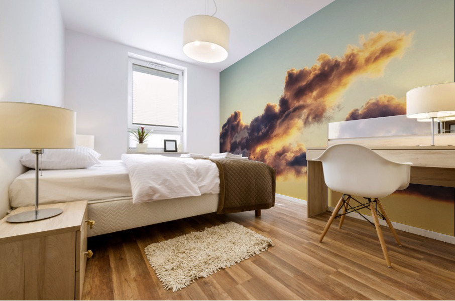Geese at daybreak Mural print
