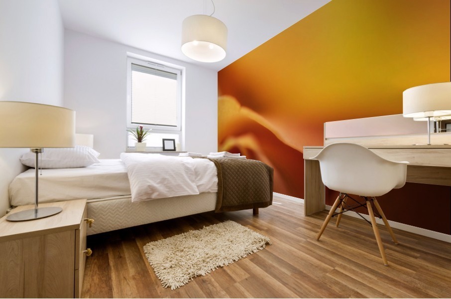 Orange Rose Mural print