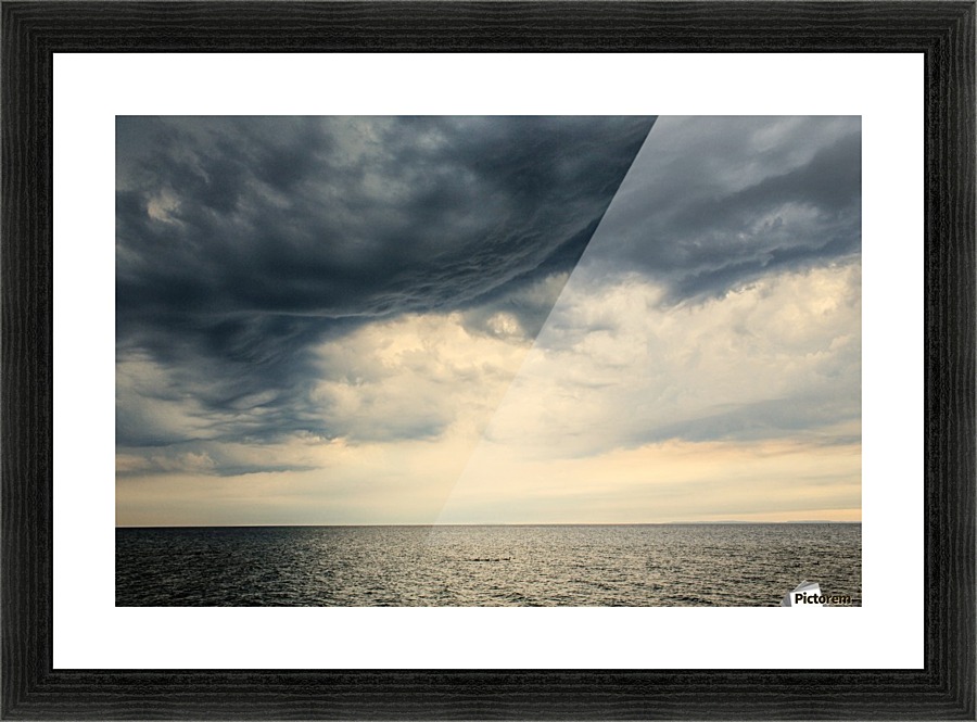 Tiny ducks under big cloud Picture Frame print