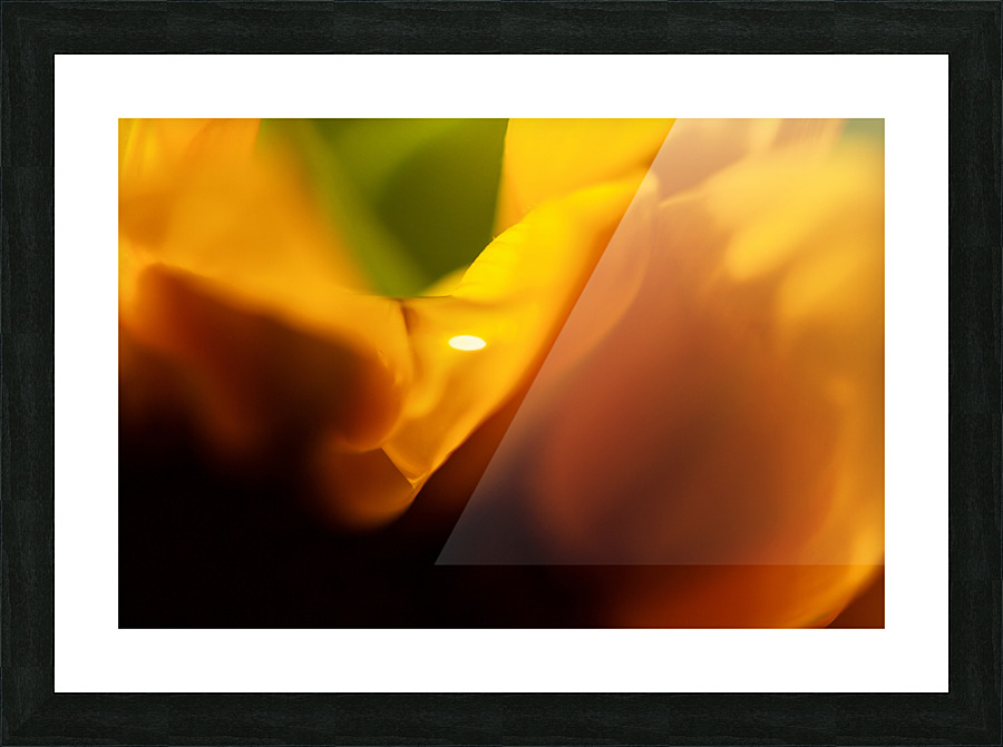 Sunflower waterdrop Picture Frame print