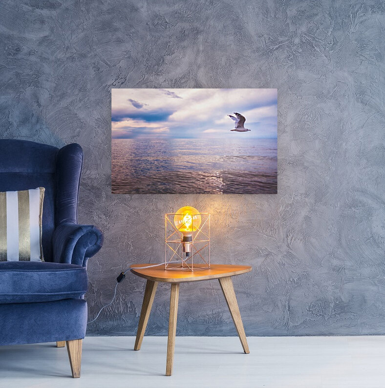 Seagull in flight Reproduction