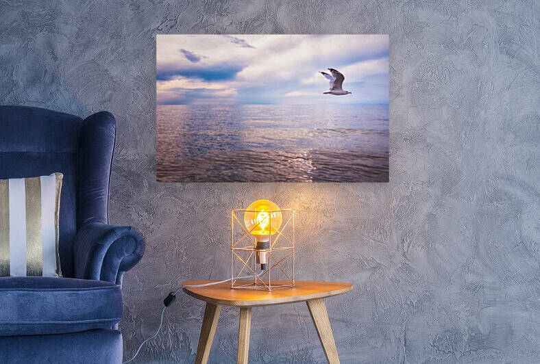 Seagull in flight Reproduction