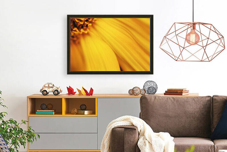 Sunflower petal swoop by Katharine Asals
