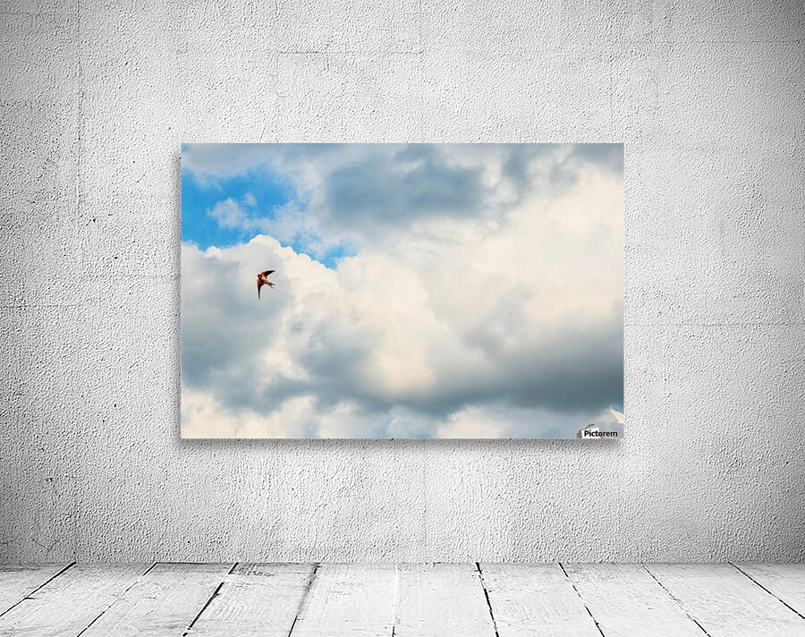 Freedom Flight Wall Preview