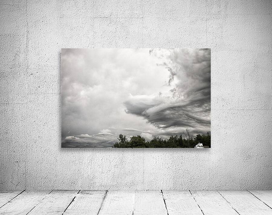 Phoenix Cloud Wall Preview