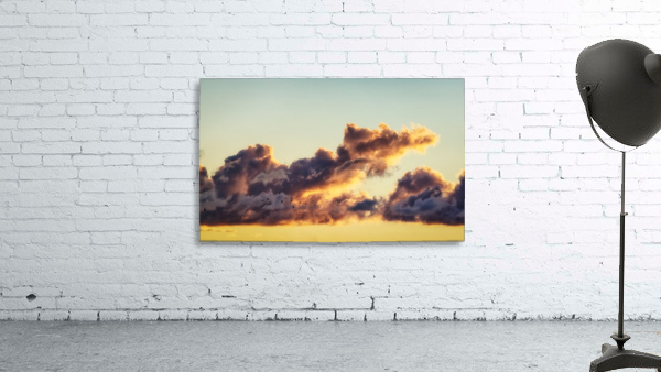 Geese at daybreak Wall Preview