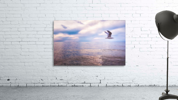 Seagull in flight Wall Preview