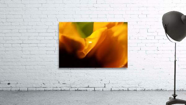 Sunflower waterdrop Wall Preview