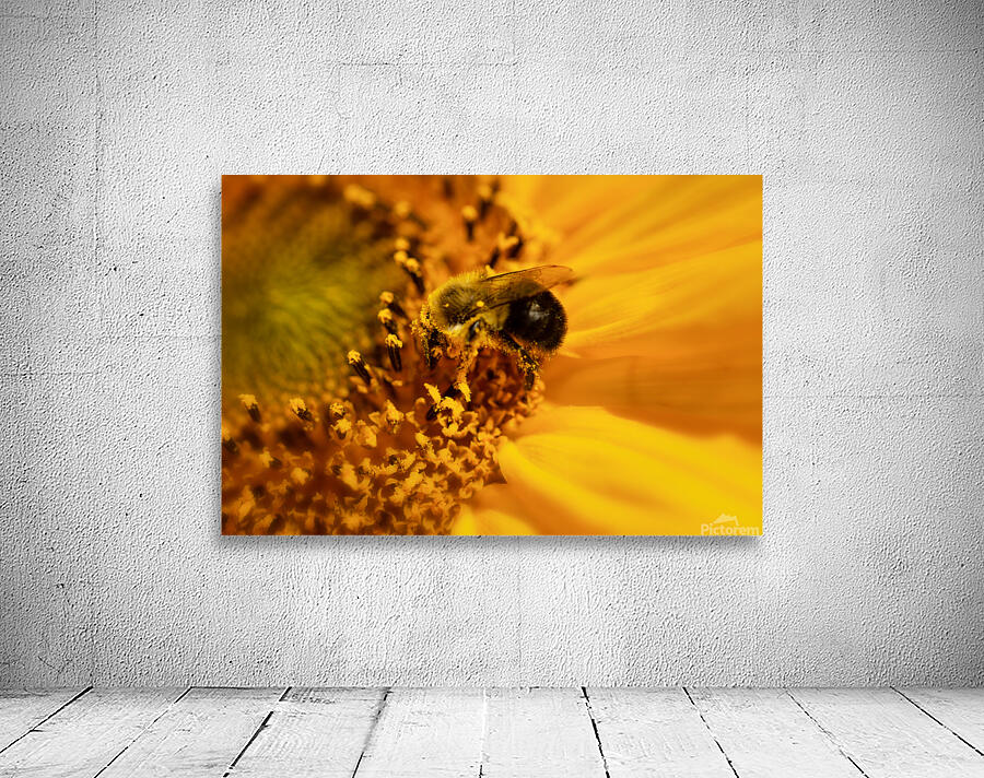 Bee into sunflower Wall Preview