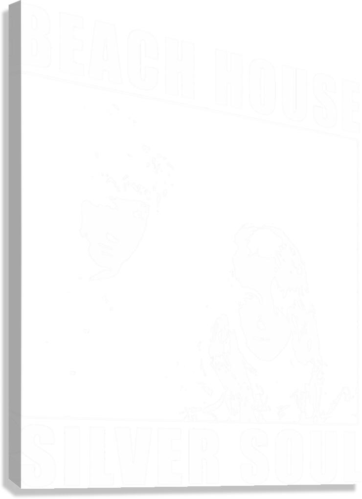 Beach House 10 Canvas Print