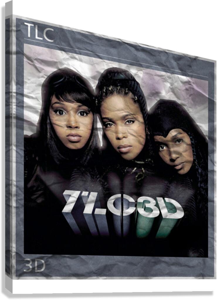 TLC Band 13 Canvas Print