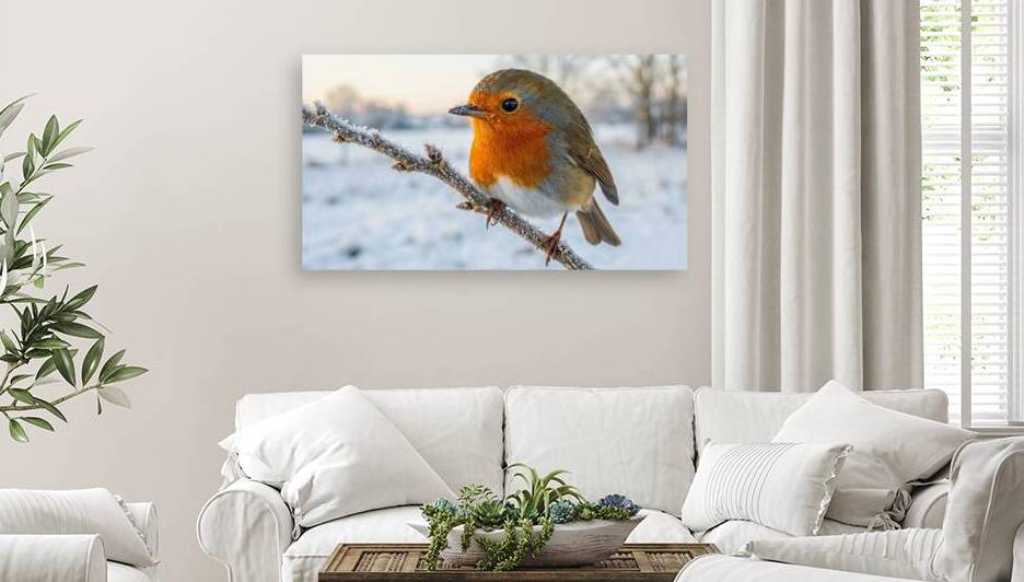 European Robin on Frosty Branch - Hyper-Realistic Winter Wildlife Photography by Ahmad Sharara
