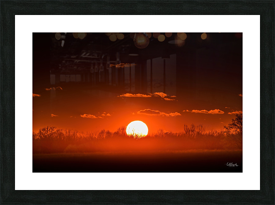 Red Rise Picture Frame print