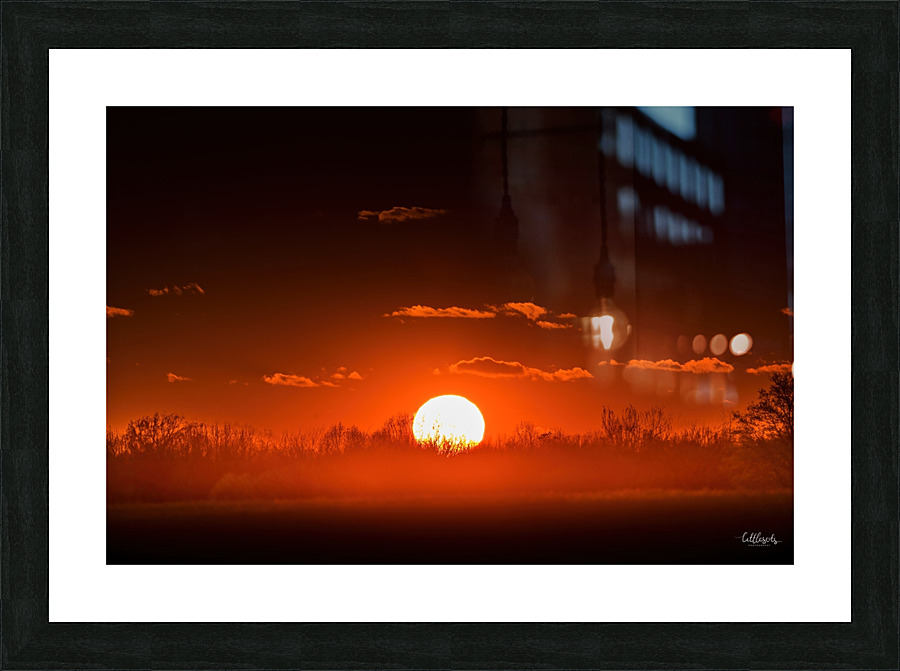 Red Rise Picture Frame print