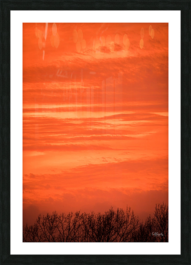 Orange Eads Picture Frame Printing