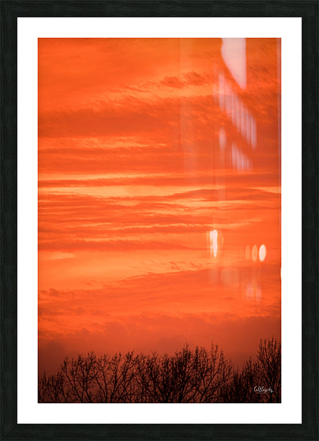 Orange Eads Picture Frame print