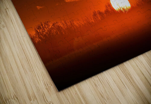 Red Rise Paul Burns puzzle
