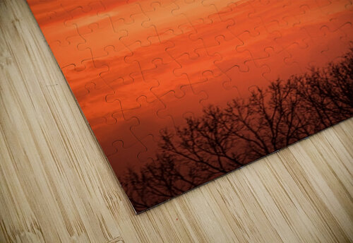 Orange Eads Paul Burns puzzle