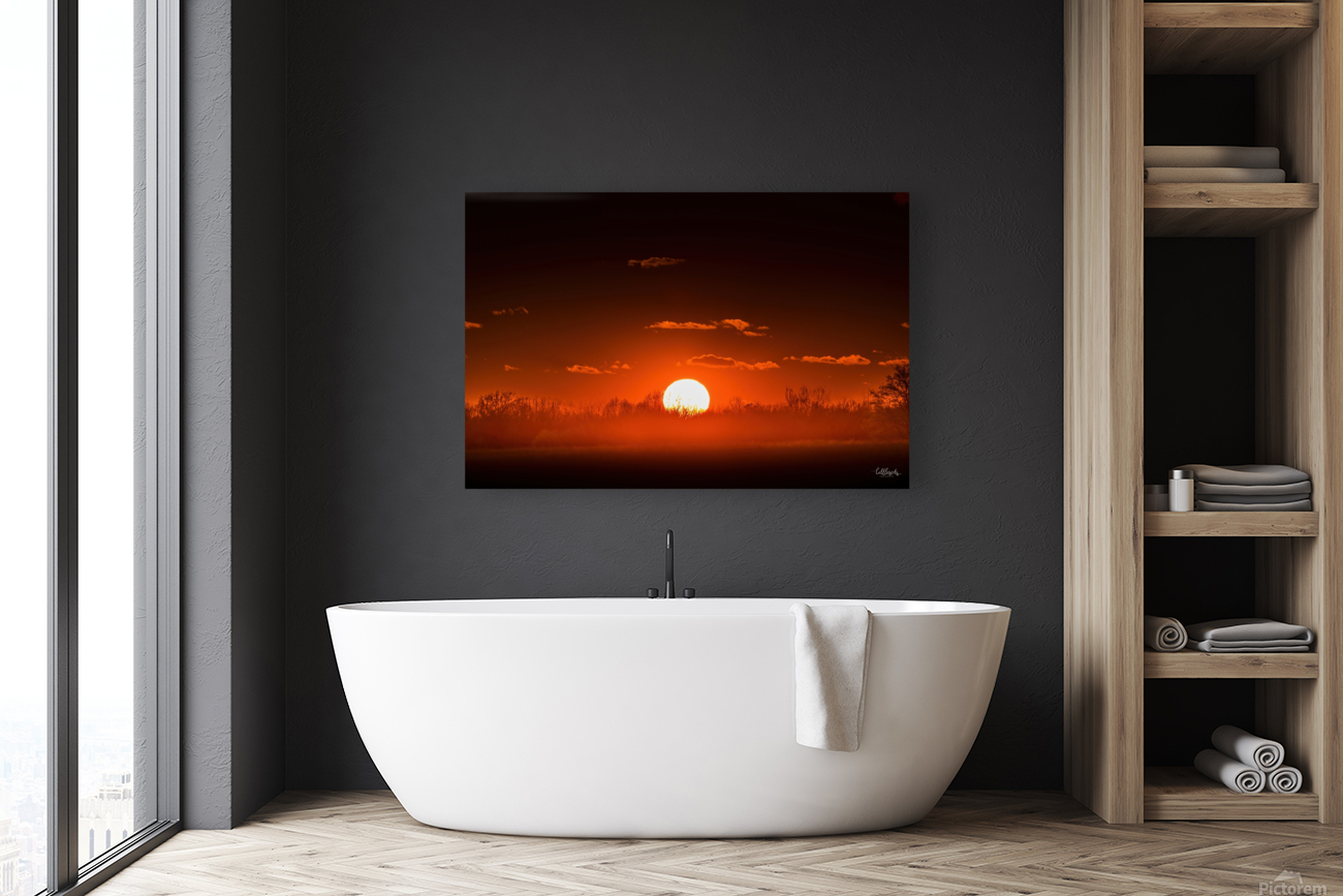 Red Rise Reproduction