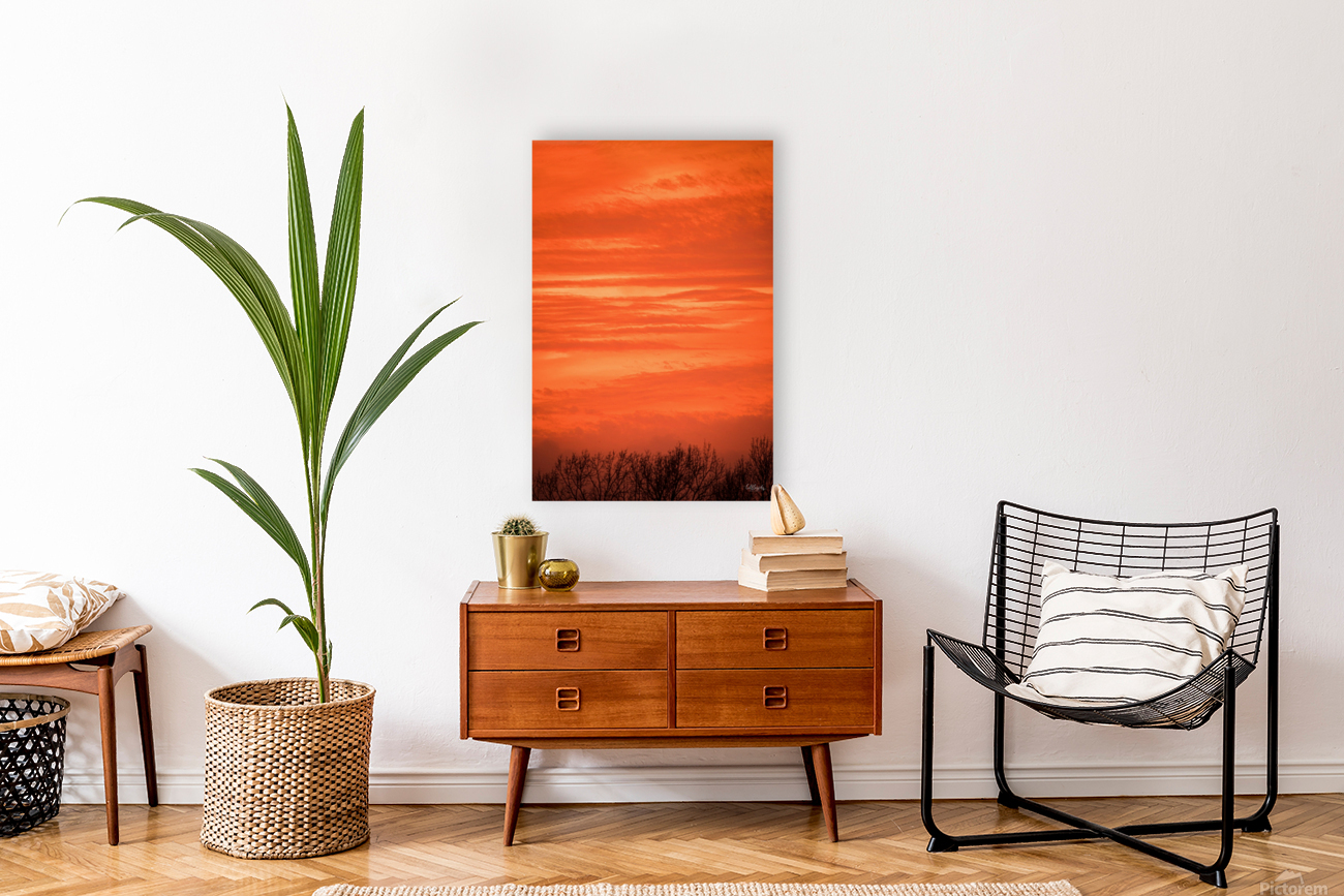 Orange Eads Reproduction