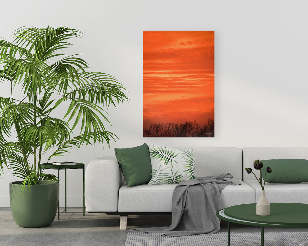 Orange Eads Reproduction
