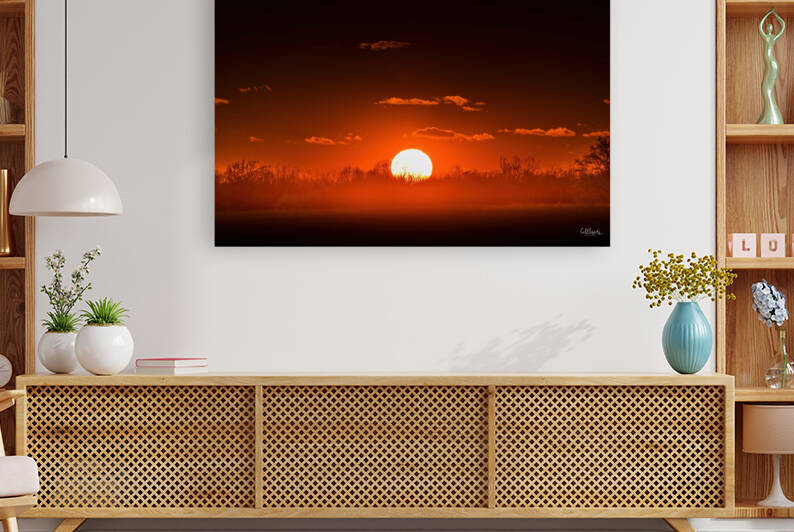 Red Rise Reproduction