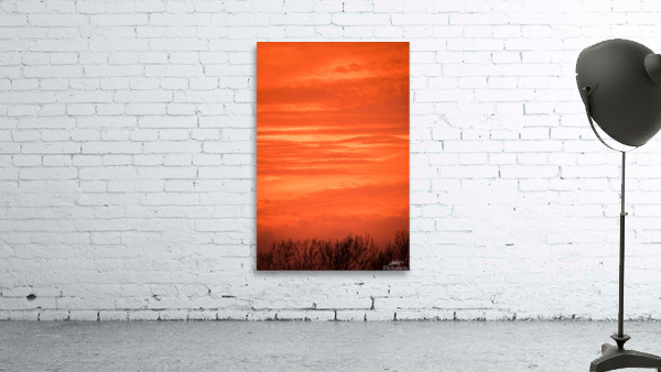 Orange Eads Wall Preview