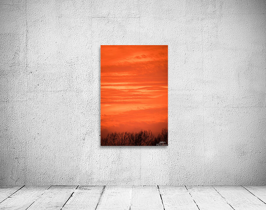 Orange Eads Wall Preview