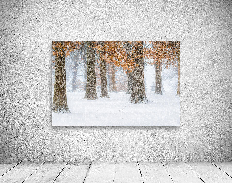 Into the Snow Wall Preview