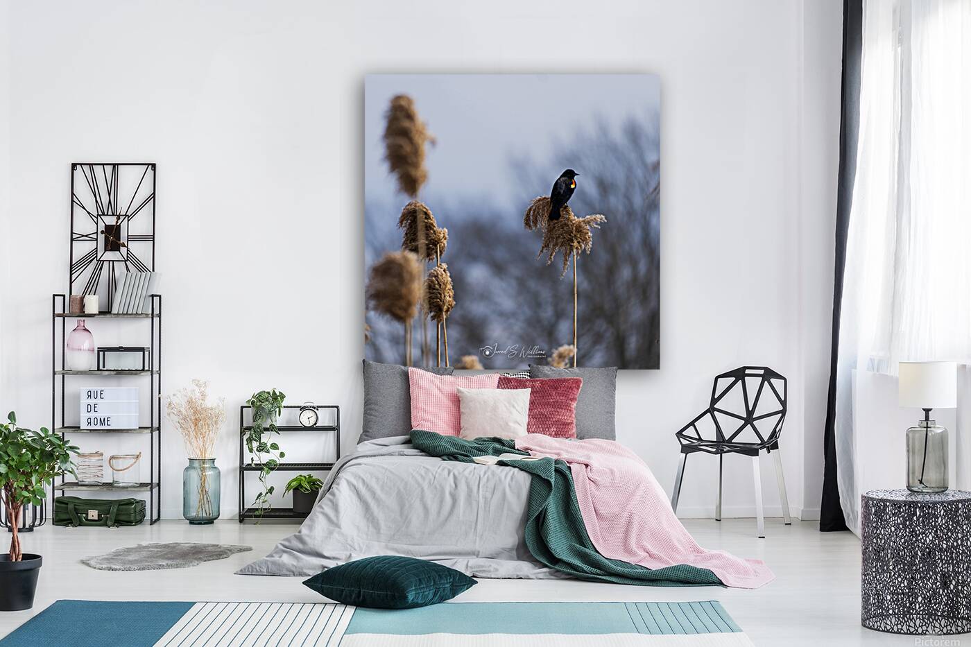 Redwinged Blackbird Reproduction