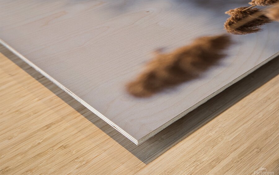 Redwinged Blackbird Wood print