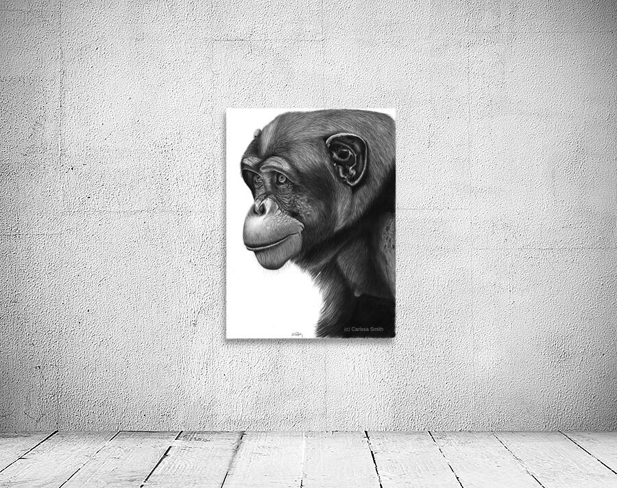 chimpanzee Wall Preview
