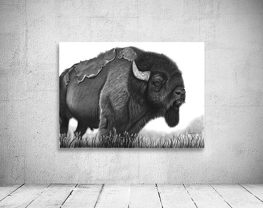 buffalo Wall Preview