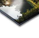 summer folest brook Acrylic print