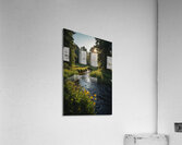summer folest brook Acrylic Print