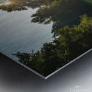 summer folest brook Metal print