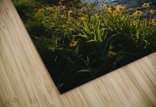 summer folest brook Heart puzzle