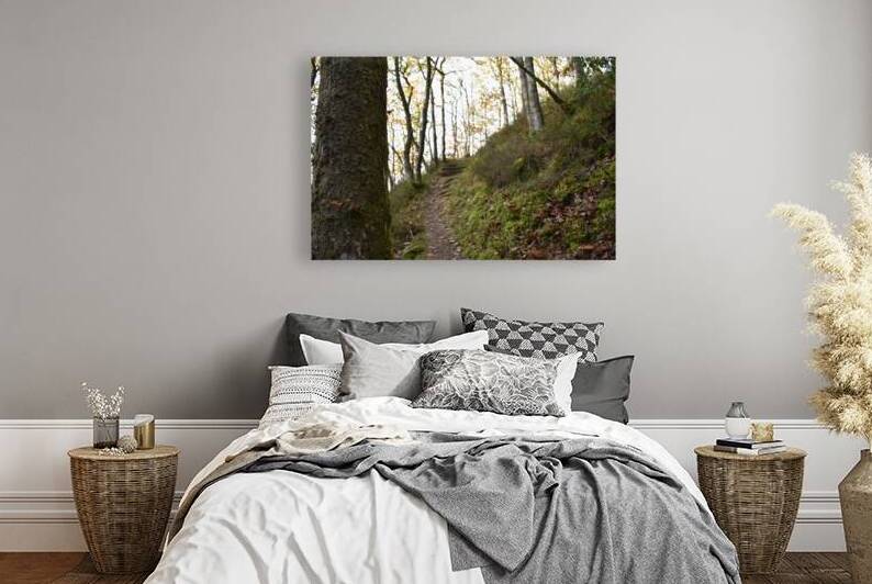 Birches in the ravine 7 by CHARYL ENGELMAN