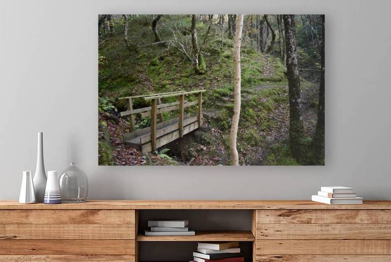 Birches in the ravine 9 by CHARYL ENGELMAN