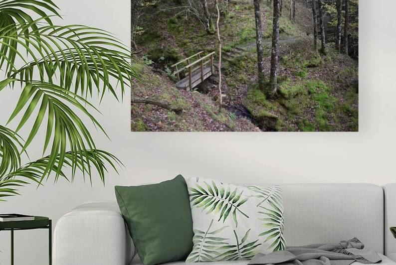 Birches in the ravine 12 by CHARYL ENGELMAN